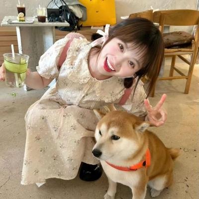 疯狂的旅行箱